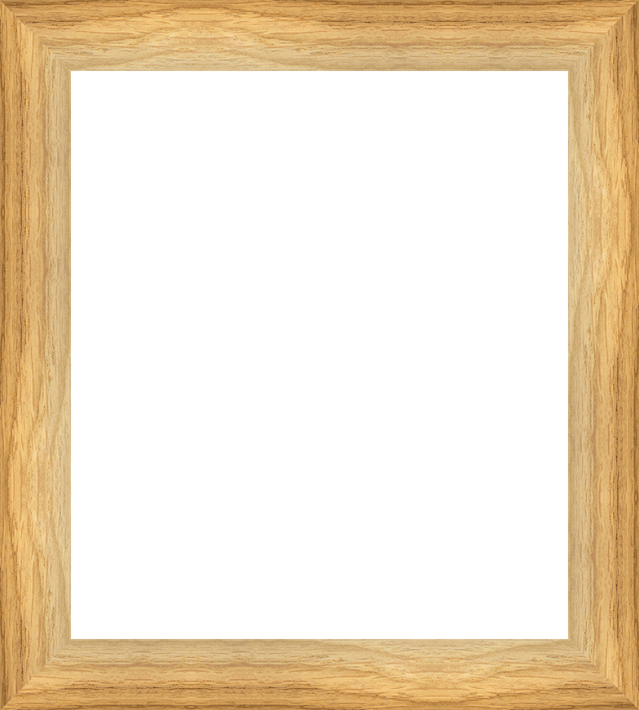 1120OA_length_Large_frameOnly