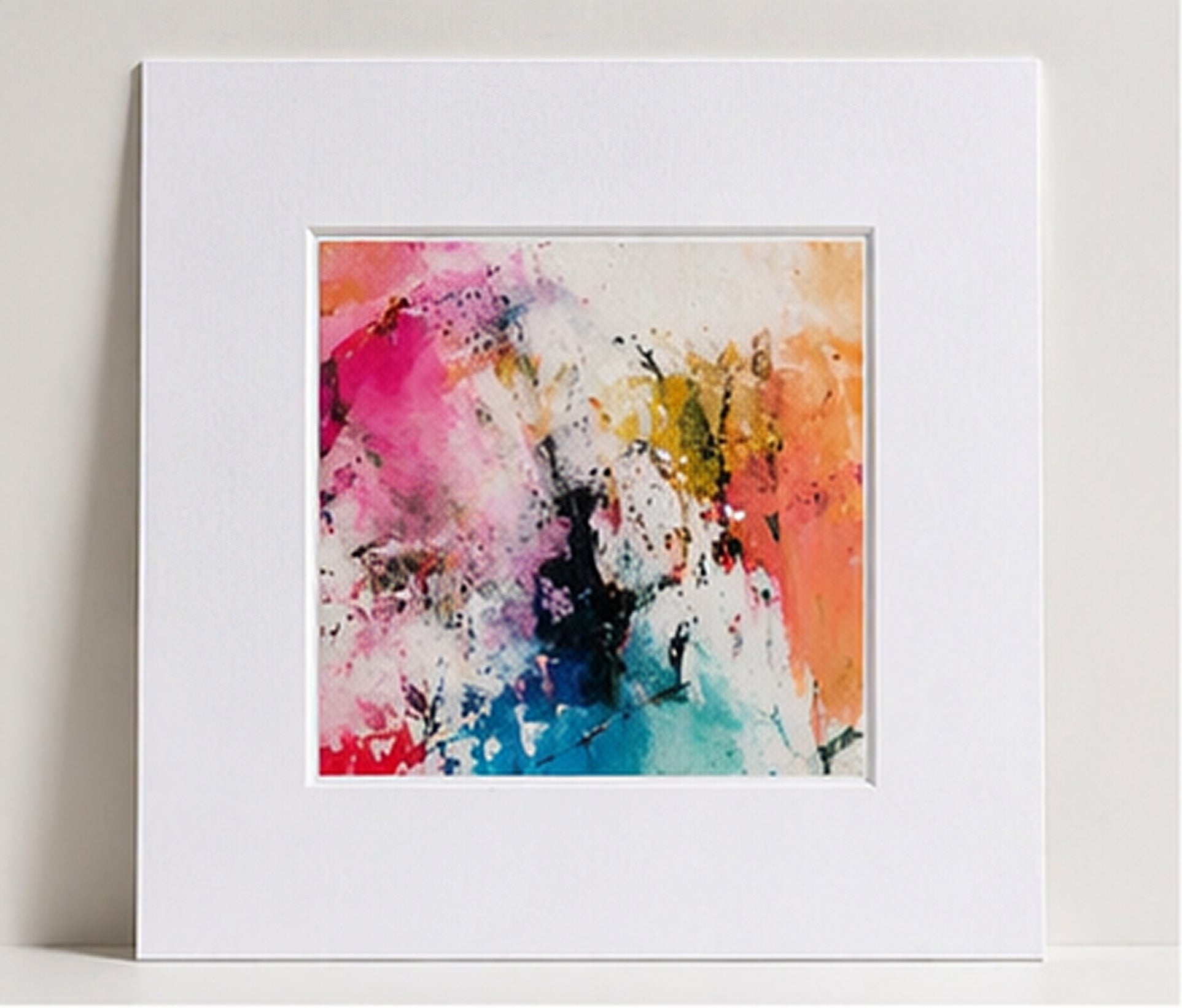Picture Mounts