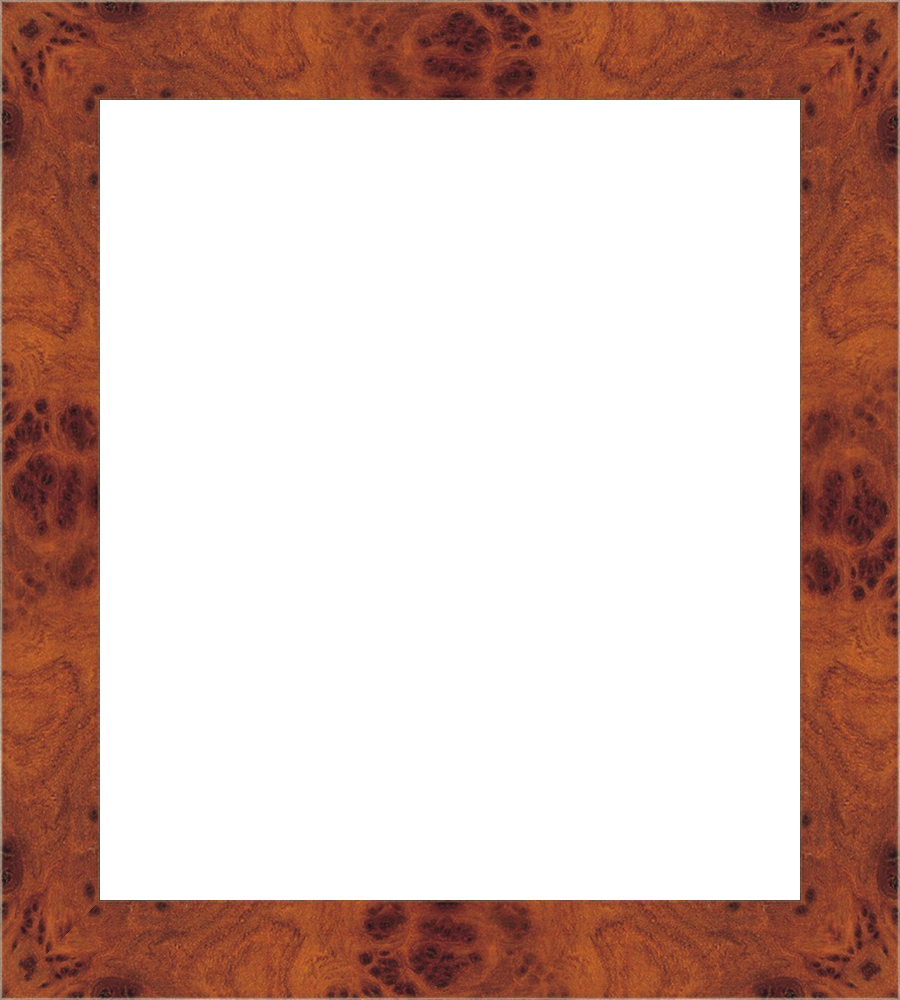 322641260_Large_frameOnly