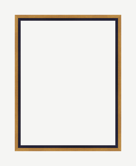 Black and Gold Bevel Frame