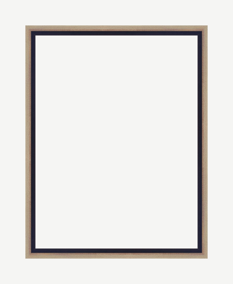 Black and Champagne Gold Bevel Frame