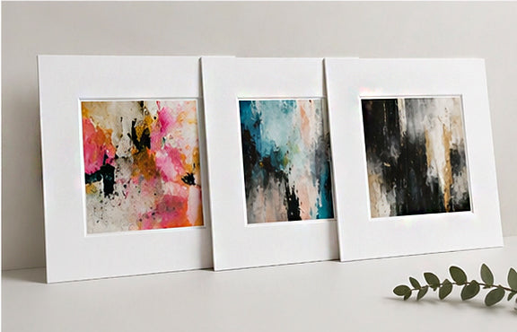 Picture Mounts