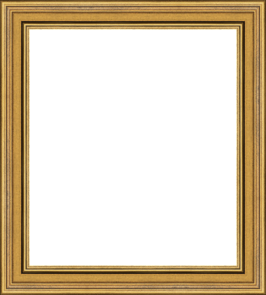 9254GD_Large_frameOnly